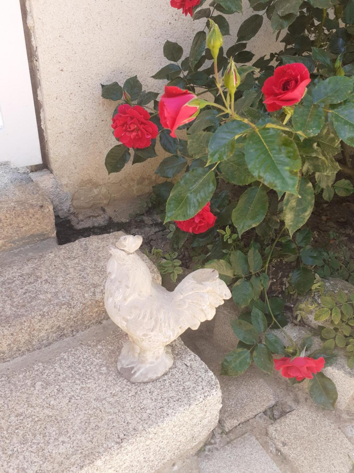7 , Le Haut Montraye Pacé Εξωτερικό φωτογραφία