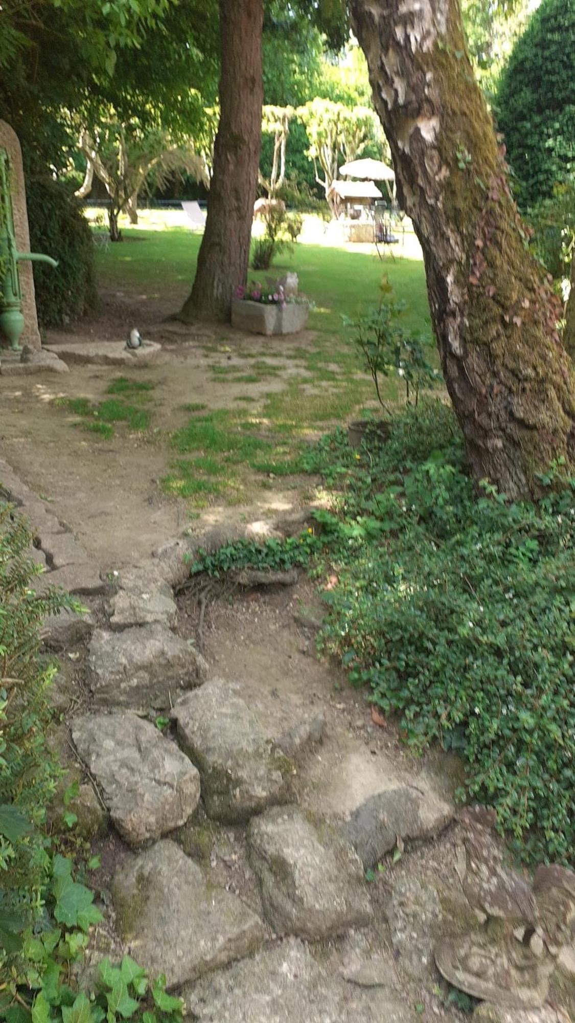 7 , Le Haut Montraye Pacé Εξωτερικό φωτογραφία