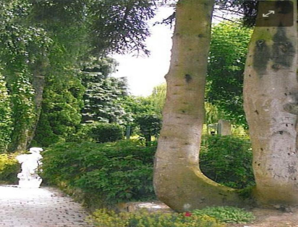 7 , Le Haut Montraye Pacé Εξωτερικό φωτογραφία